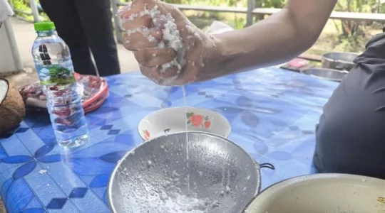 ココナッツオイル作り体験